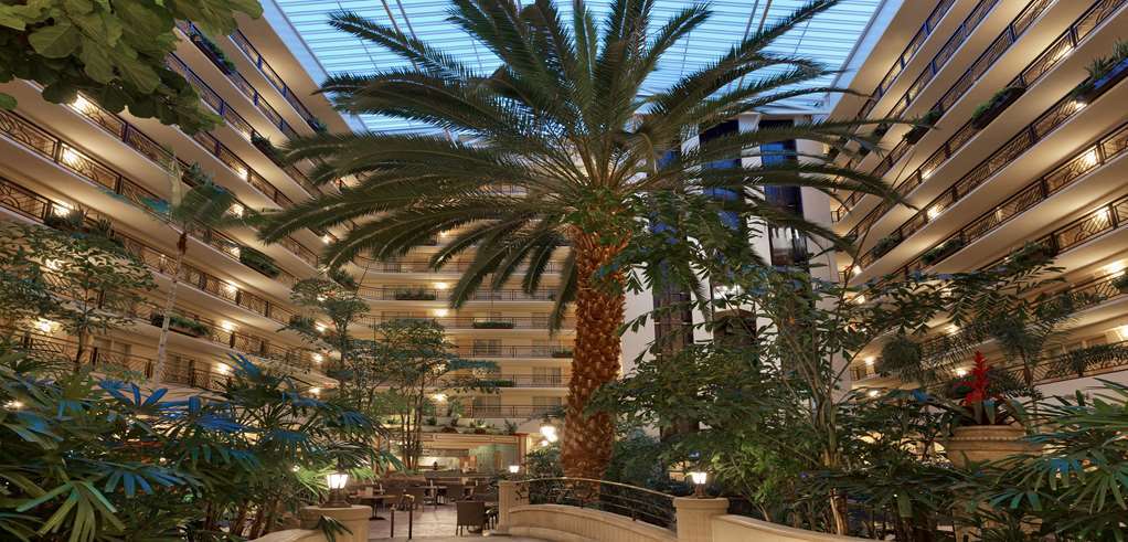 Embassy Suites San Francisco Airport - South San Francisco Interior foto